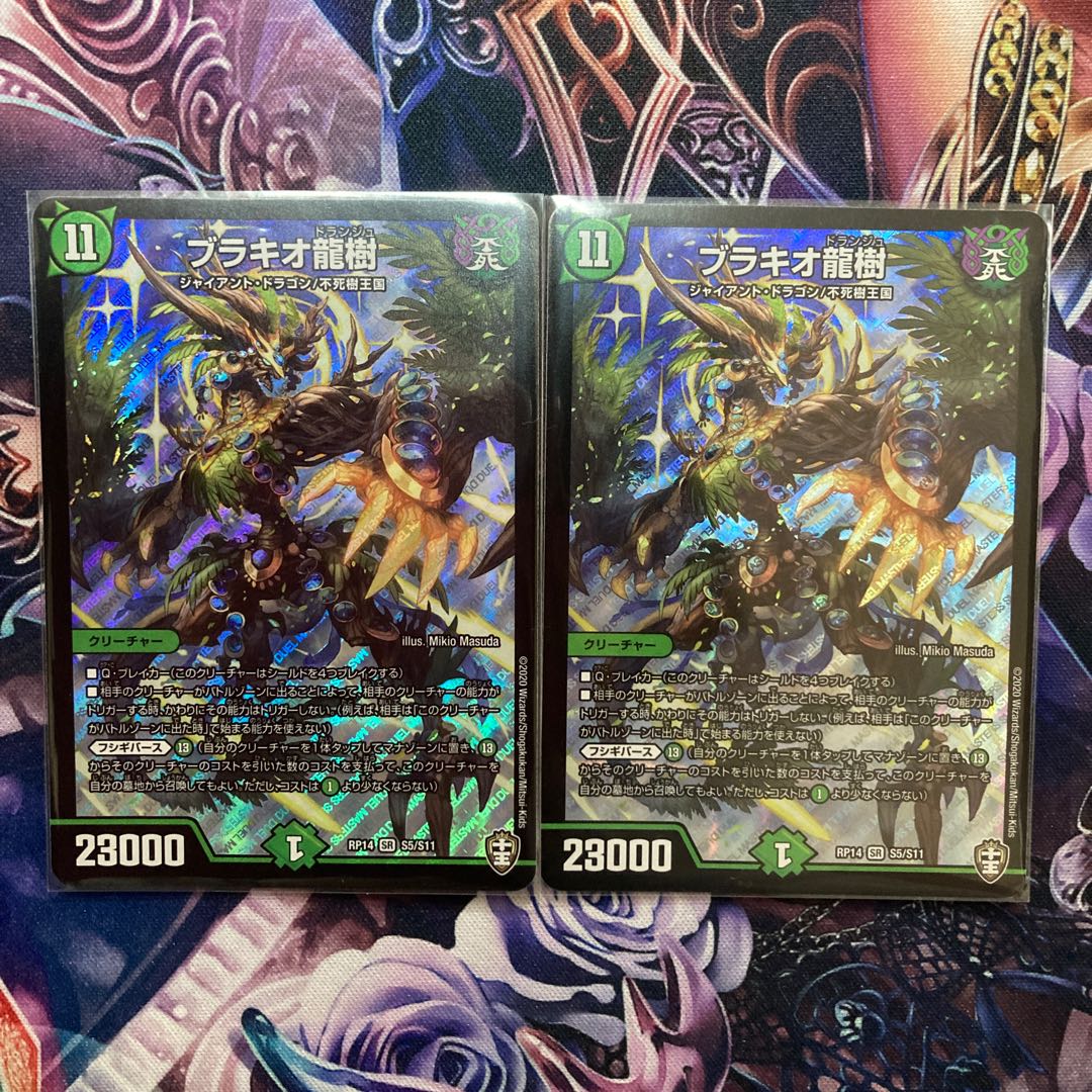 Brachio Ryuju, 2 pieces, rose available.