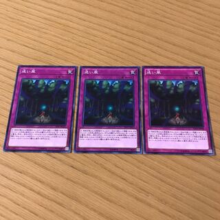 迷い風 ノーマル　3枚セット