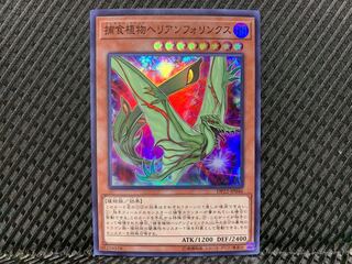 【ぽぽたん】遊戯王  -976  捕食植物ヘリアンフォリンクス スーパー