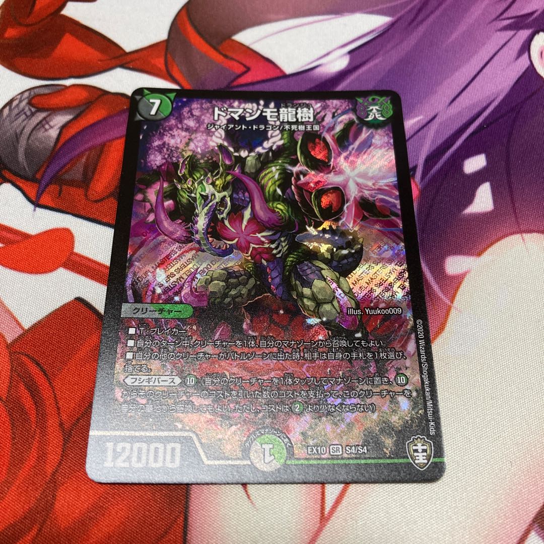 ドマンモ龍樹 1枚