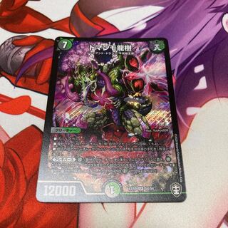 ドマンモ龍樹 1枚