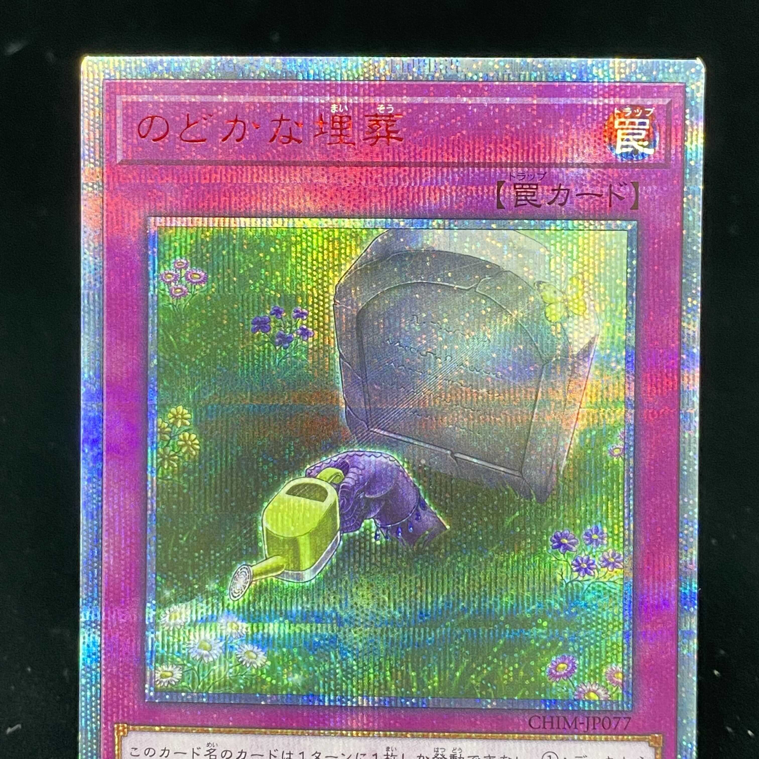 のどかな埋葬 20thシークレットレア