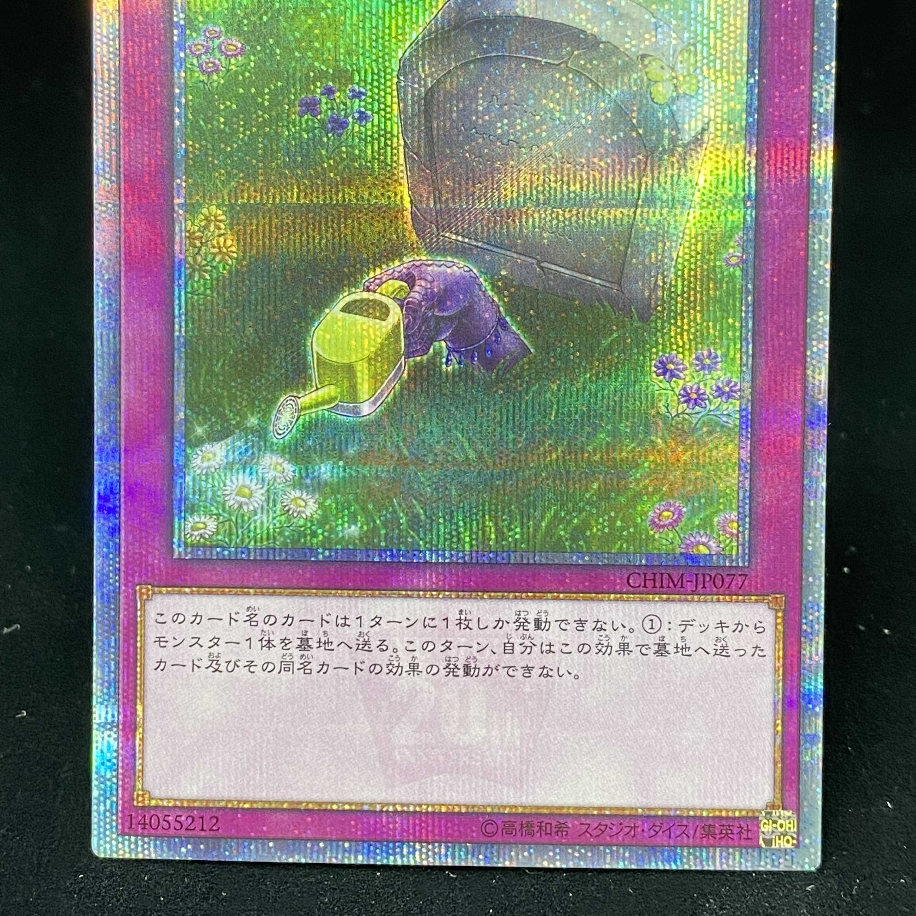 のどかな埋葬 20thシークレットレア