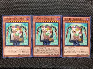 Popotan] Yu-Gi-Oh 9858 Hanafuda Ei - Autumn Leaves and Deer - Normal 3 copies