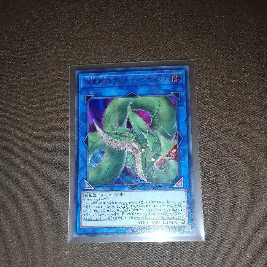 Predaplant Verte Anaconda