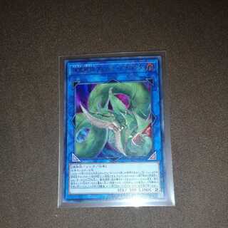 Predaplant Verte Anaconda