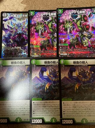 ユウマ様専用 ドマンモ龍樹 2枚