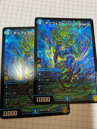 Manifesto (Leaf.Star)