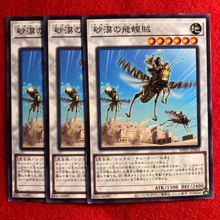 Desert Locusts☆4717