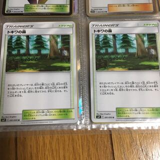 トキワの森 2枚セット