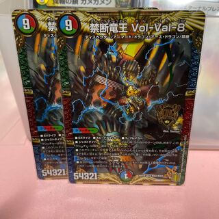 禁断竜王 Vol-Val-8