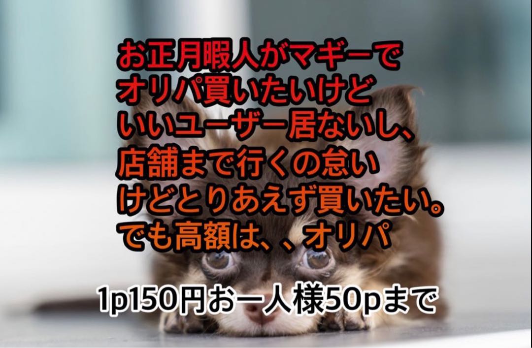 専用 ニャン太様 20p オリパ