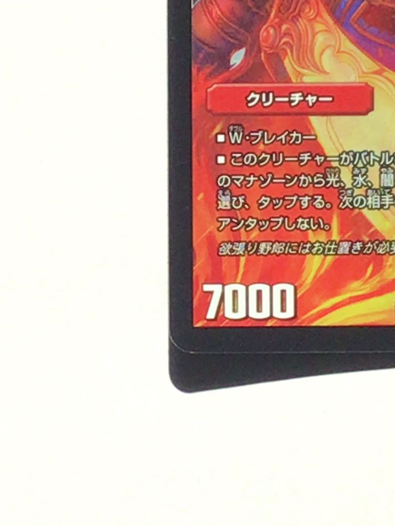 【スリーブ配送・微キズ】メガマナロックドラゴン