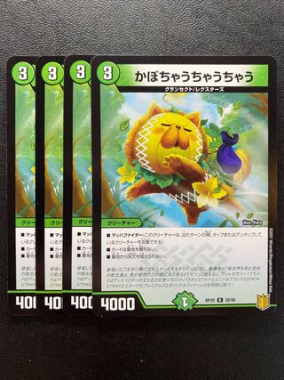 かぼちゃうちゃうちゃう