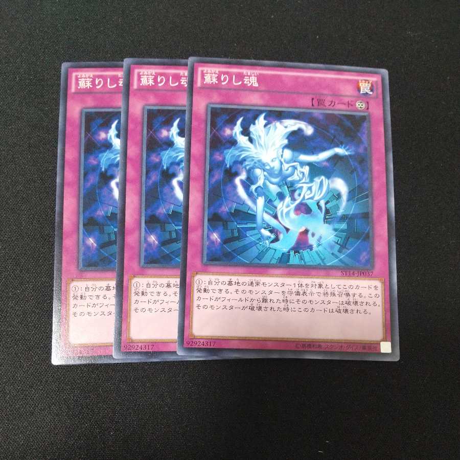 Soul Resurrection Normal