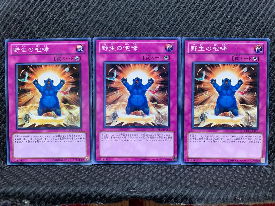 【ぽぽたん】遊戯王  10222   野生の咆哮   ノーマル  ３枚