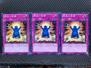 【ぽぽたん】遊戯王  10222   野生の咆哮   ノーマル  ３枚