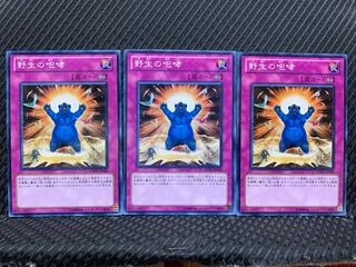 【ぽぽたん】遊戯王  7754  野生の咆哮   ノーマル  ３枚