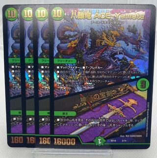 八頭竜 ACE-Yamata/神秘の宝剣