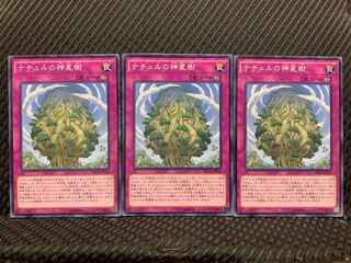 Popotan] Yu-Gi-Oh! 10954 Naturia Sacred Tree 3 Normal