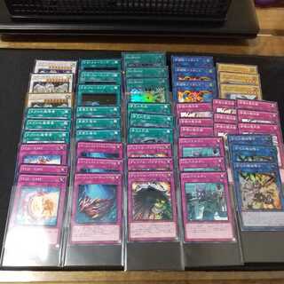 真帝王領域 ノーマル　他オーダー