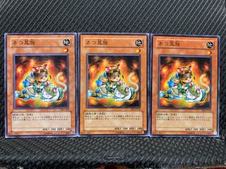 【ぽぽたん】遊戯王 10986 ネコ耳族 3枚 ノーマル