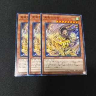 黄竜の忍者 ノーマル