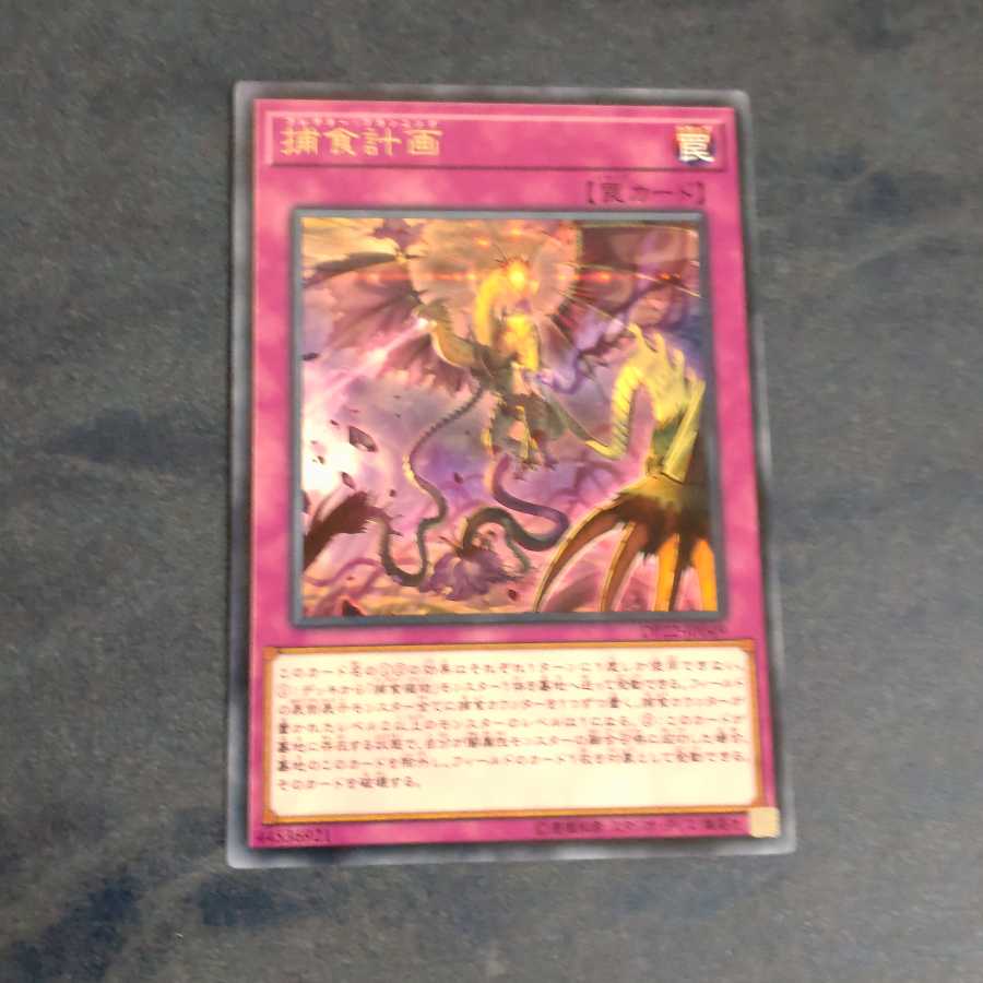 捕食計画 レア　【木林堂】