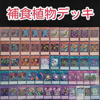 遊戯王【z34】 プレデター 補食植物デッキ