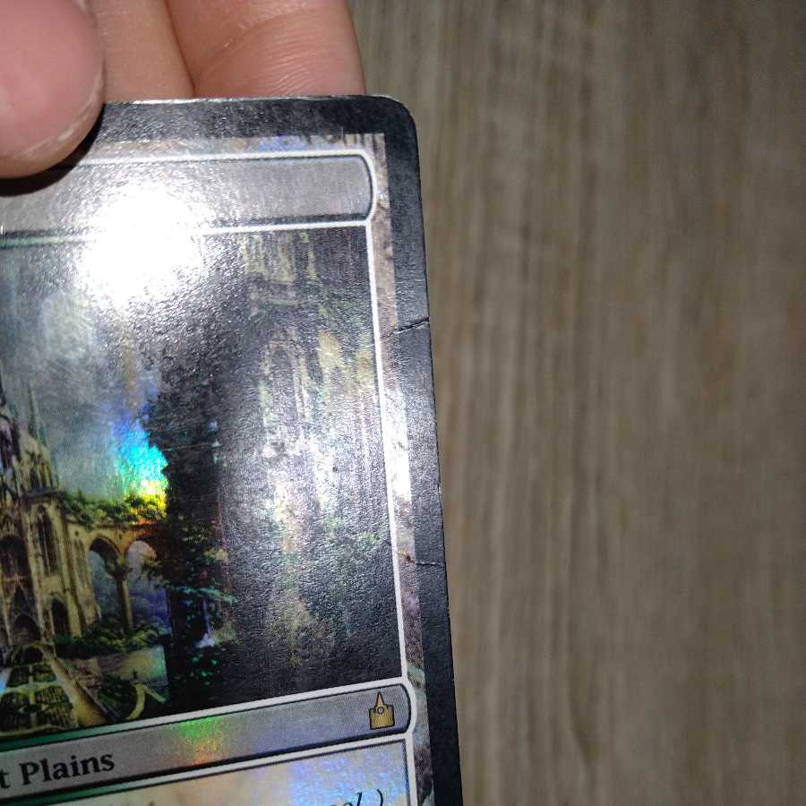 Temple Garden first edition foil state Darkness