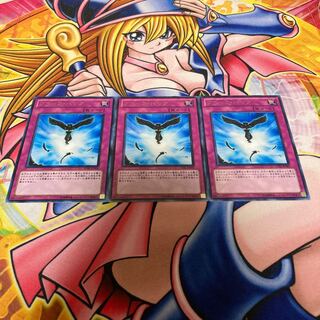 ブラック・バック