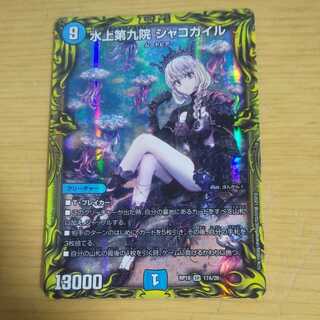 水上第九院 シャコガイル