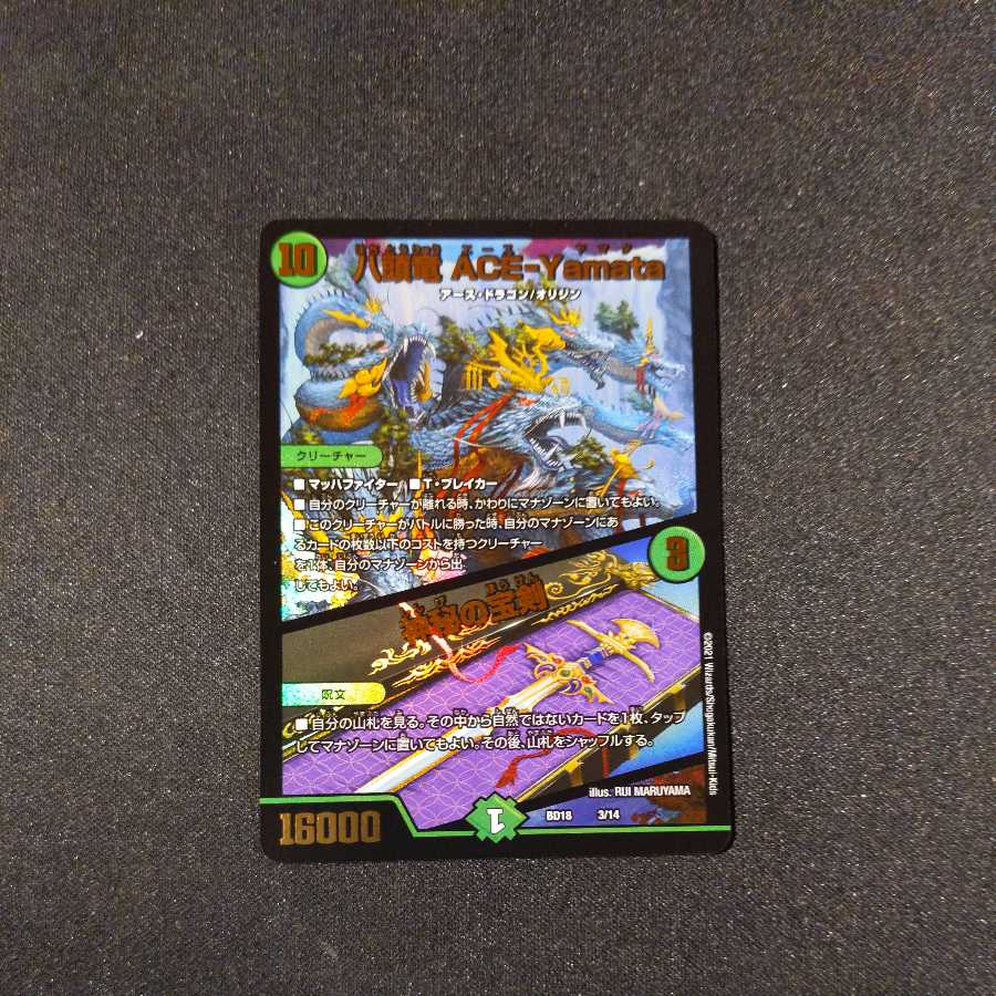 八頭竜 ACE-Yamata/神秘の宝剣