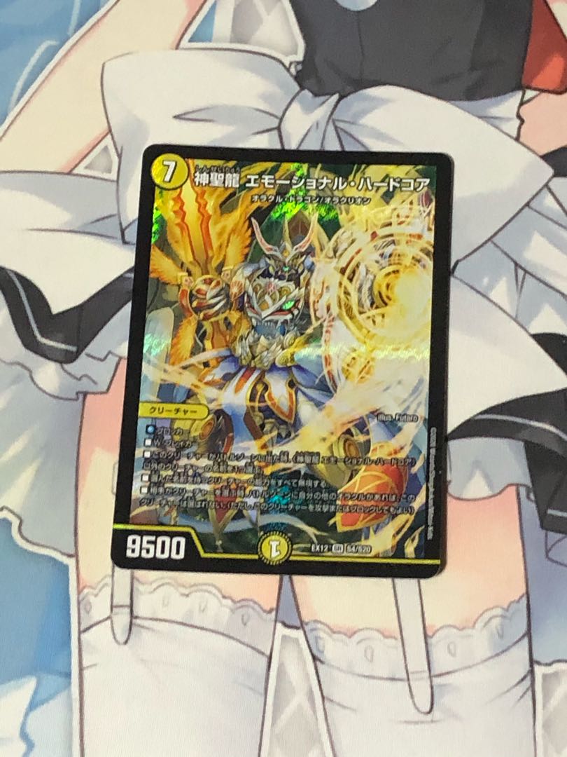 神聖龍 エモーショナル・ハードコア