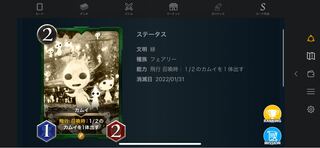 カムイ レプリカ