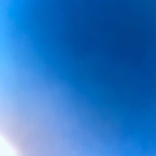 買います！グレイシアVRR10枚セット