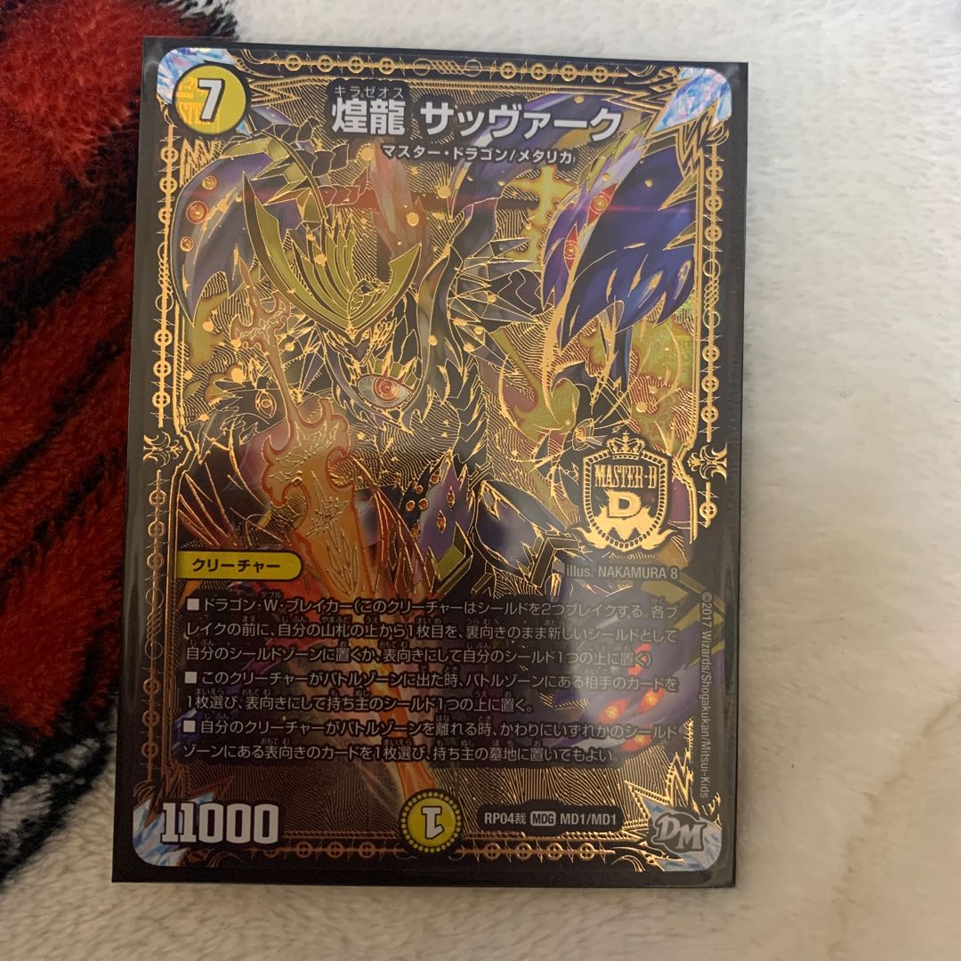 煌龍 サッヴァーク