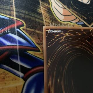 万物創世龍 マカロニ様専用