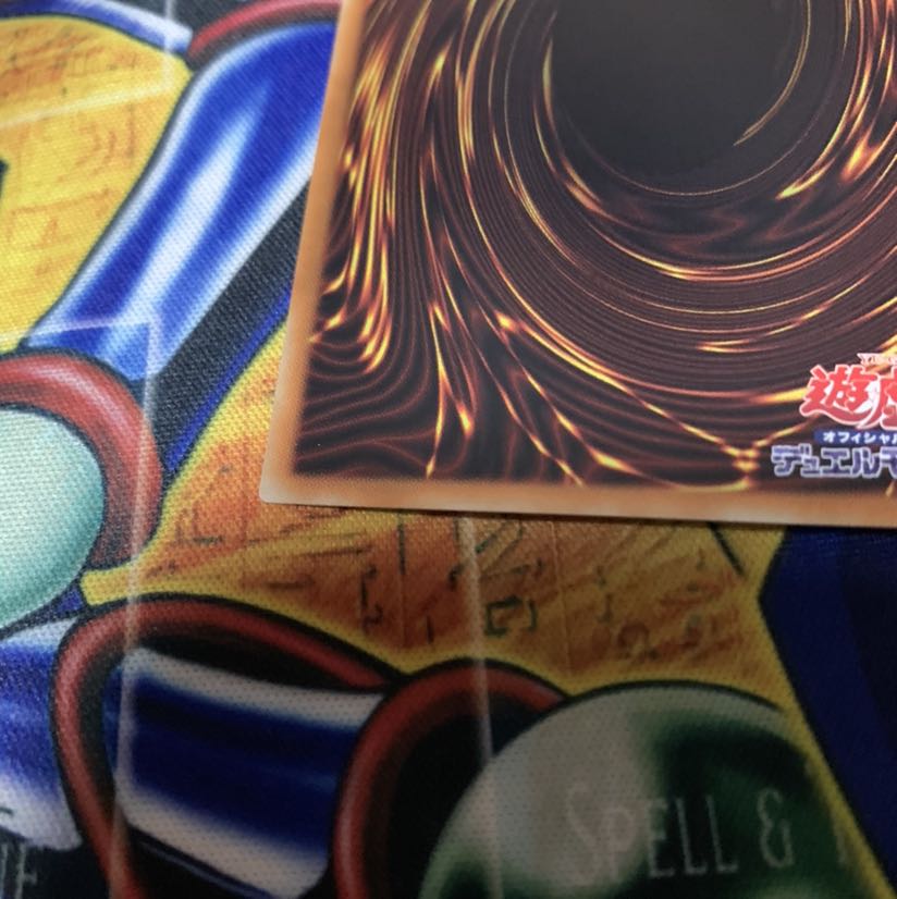 万物創世龍 マカロニ様専用