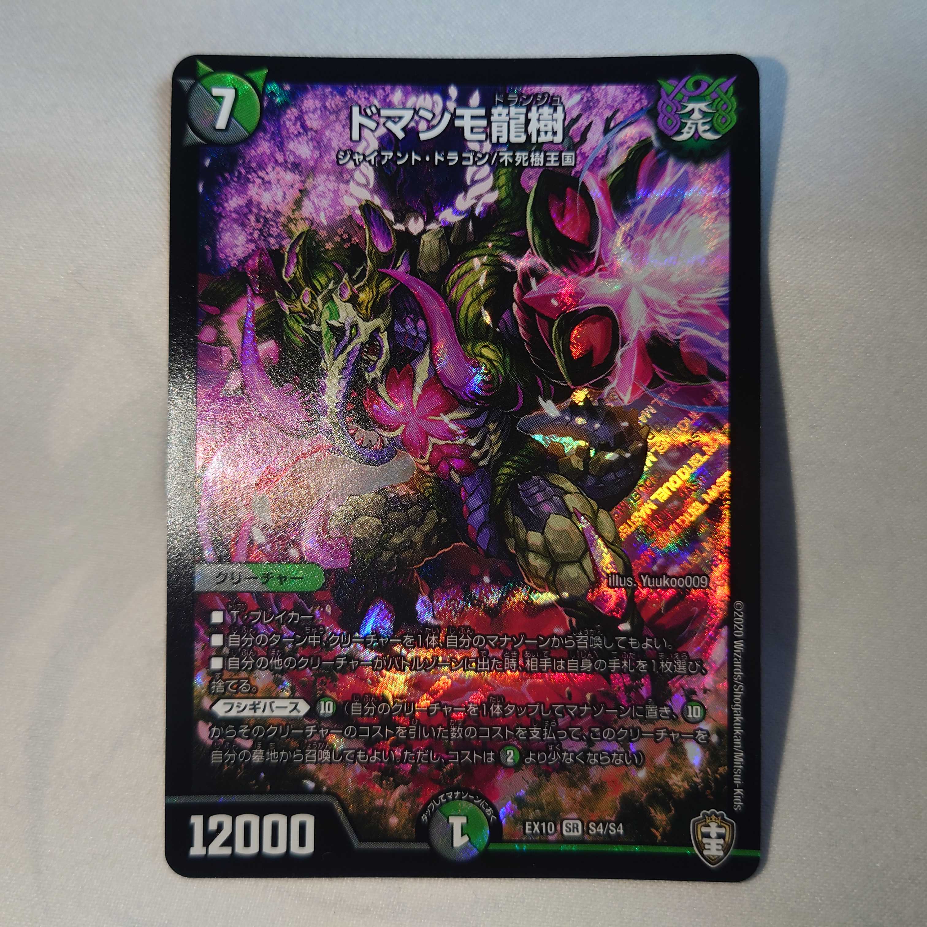 ドマンモ龍樹　1枚