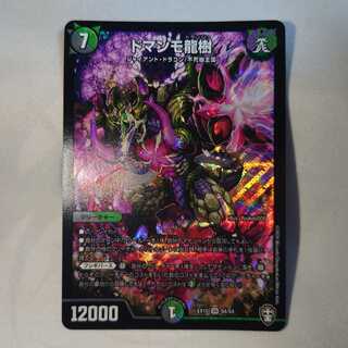 ドマンモ龍樹　1枚