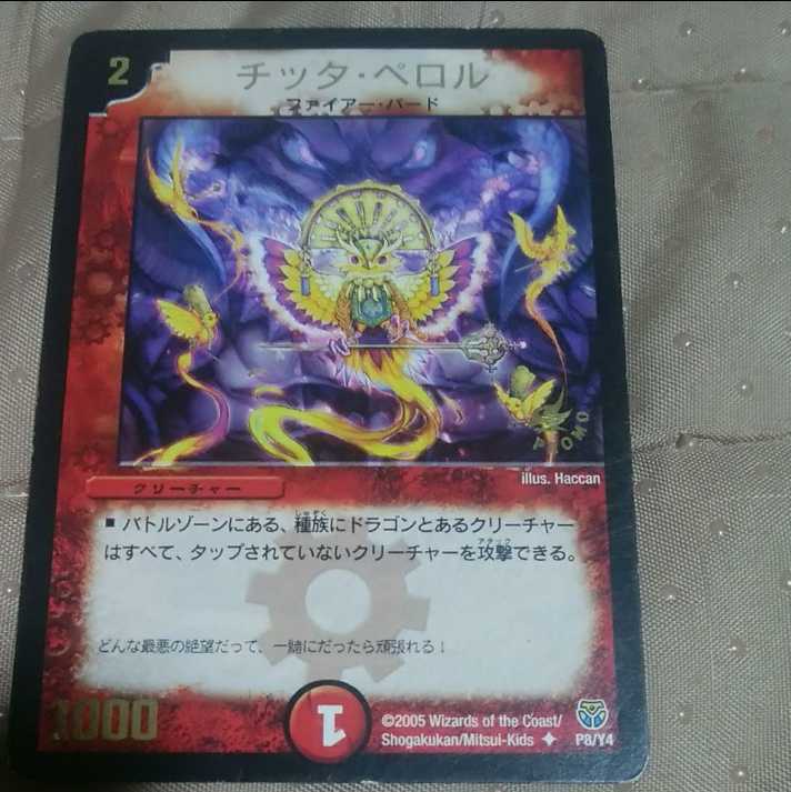 20％引mg←→M30-4   チッタ・ペロル  中古プロモーション