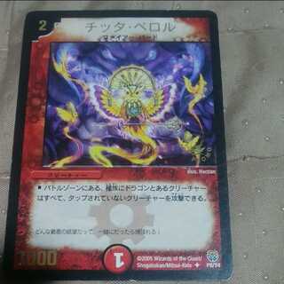 20％引mg←→M30-4   チッタ・ペロル  中古プロモーション