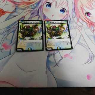 怒流牙 サイゾウミスト