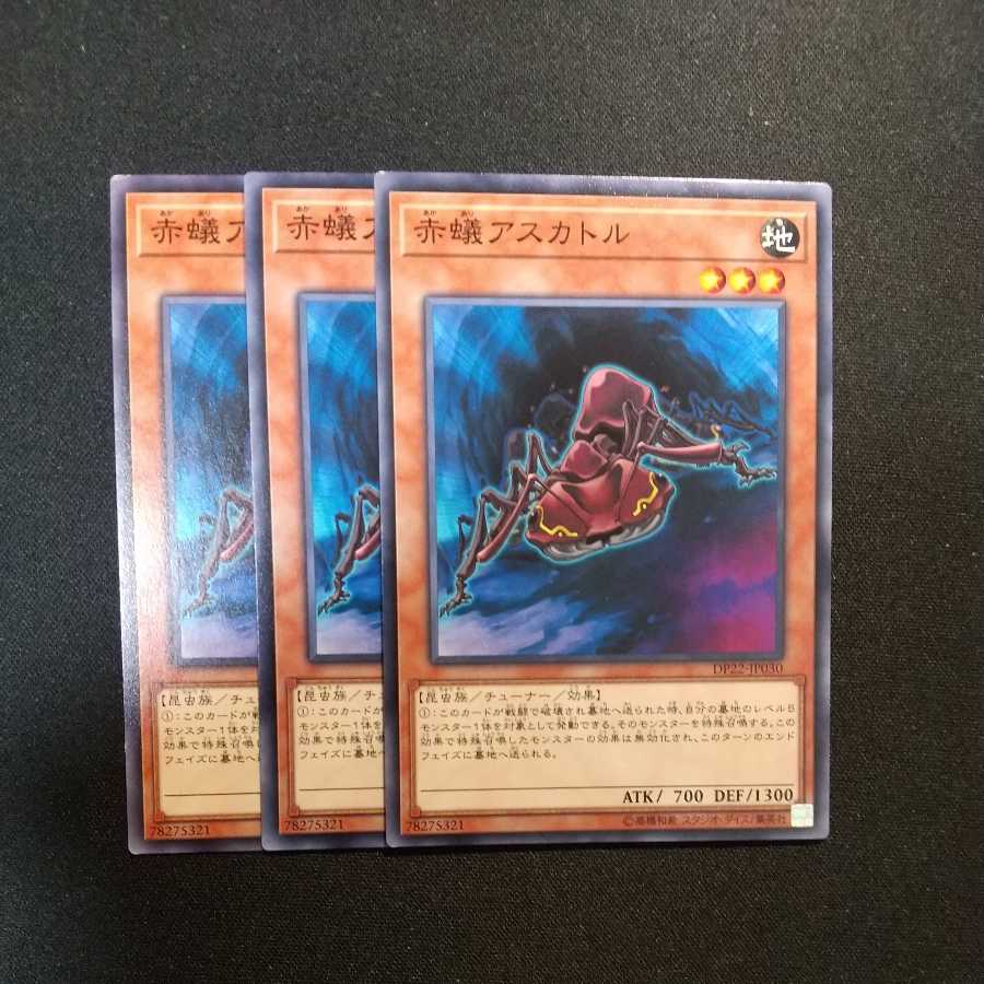 Fire Ant Ascator Normal