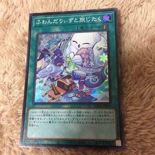 Preparing for a Trip with Fluffy Dariz