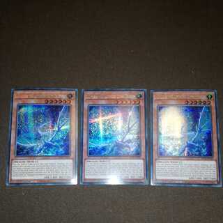 Seleglare the Luminous Lunar Dragon EU 3 copies