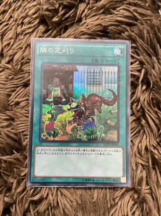 隣の芝刈り スーパーレア