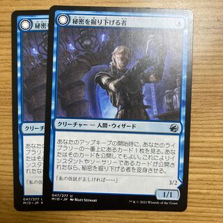 Delver of Secrets 2 copies