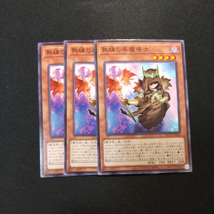 熟練の栗魔導士 ノーマル